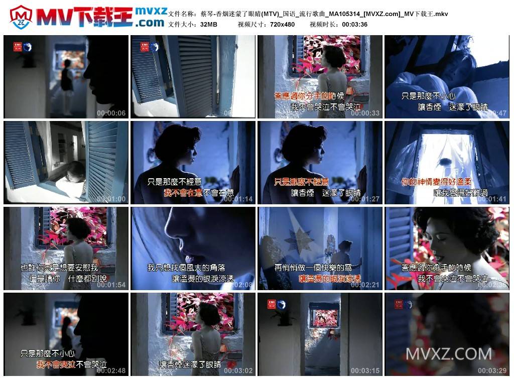 蔡琴-香烟迷蒙了眼睛(MTV)_国语_流行歌曲_MA105314